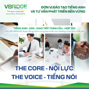 web banner vbridge